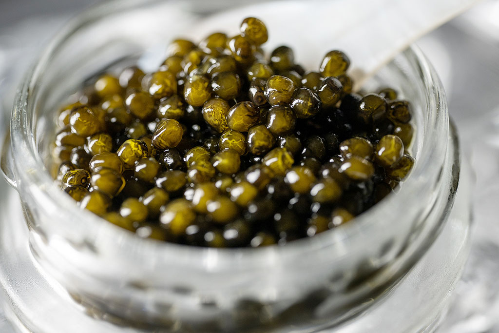 CAVIAR