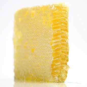 Lukan's Wildflower Honeycomb, 12oz