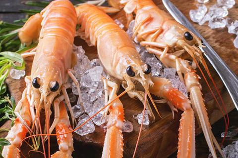 How to Buy, Defrost, Cook, and Serve Langoustines