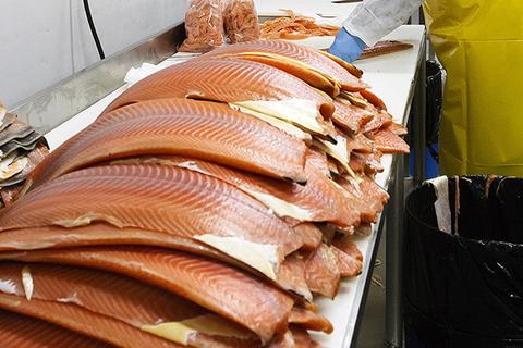Catsmo Is Committed to Sustainable Seafood