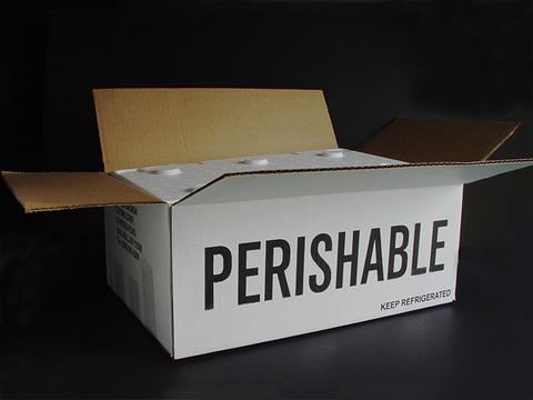 Perishable shipping box