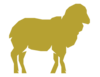 Cow cheese
